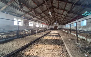Ferma complet echipata de vanzare – zona Agnita, judetul Sibiu - Poză 11