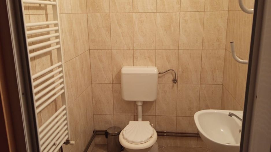 Spațiu comercial versatil, curte proprie și parcare, Biharia - Poză 9