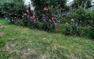 Teren 900 mp + Constructie 30 mp, zona Impr. Traian ( toate utilitatile ), pret 85.000 euro usor negociabil - Poză 3