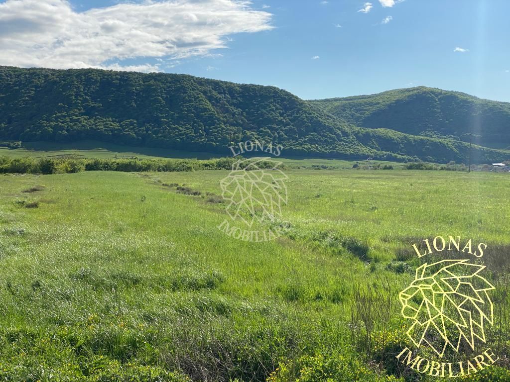 Teren intravilan-Crainimat -3000mp-ideal investitie construire casa - Poză 2