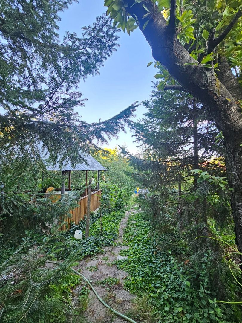 Casă / Vilă cu 8 camere de vânzare în Lapus, Craiova - Poză 6