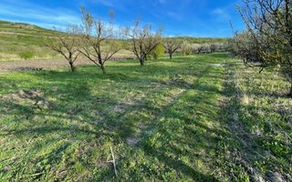 Tren Soporului Intravilan ,5500 MP Utilitati,  Oportunitate - Poză 4