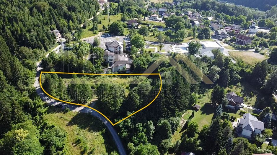 Oportunitate Investitie Teren Dambu Morii | Necesar PUD | Utilitati | 4.800mp - Poză 2