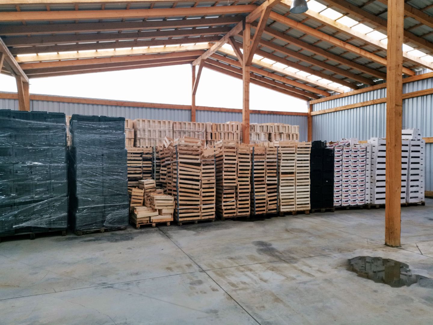 Ferma pomicola cu teren livada 270 ha - Timis - Poză 16