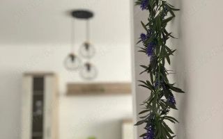 Închiriez apartament 2 camere – Ozana - Poză 4