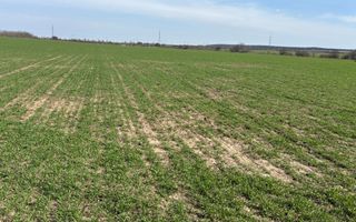 Teren pentru investiție - Poză 3