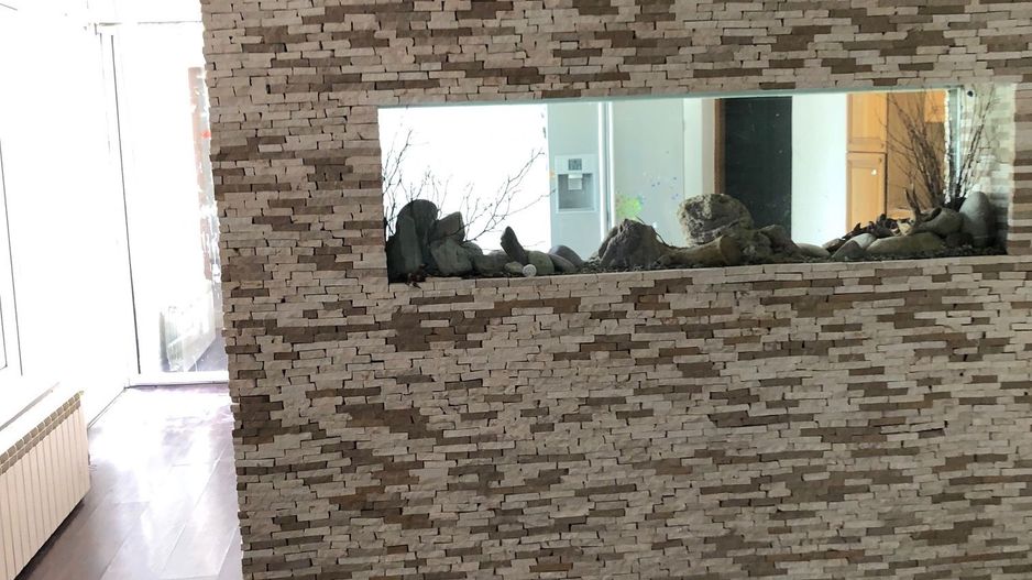 Casa zona Cetatii de locuit sau birouri - Poză 24