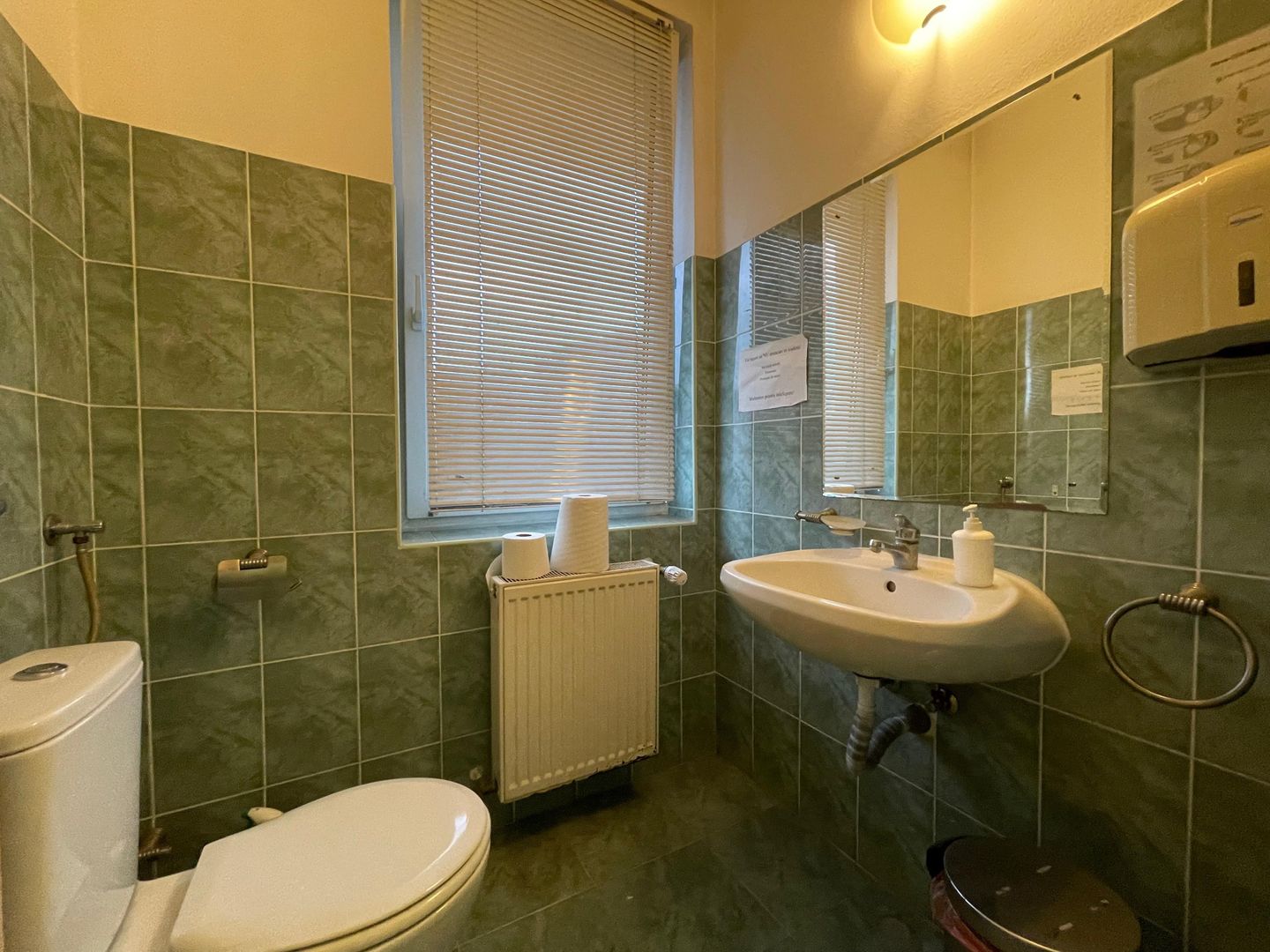 Spatiu bussines de 490mp intr-o vila pe 4 niveluri - Timisoara - Poză 30