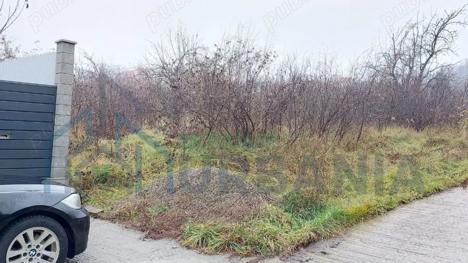 Teren Bucium, 3 minute de Hanul 3 sarmale, la Soseaua Barnova - # - Poză 4