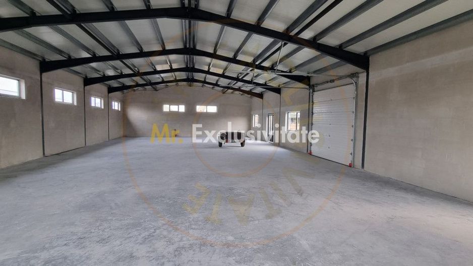 Inchiriere Hală Producție/Depozitare 300 mp, Teren 1791 mp - Carei - Poză 6