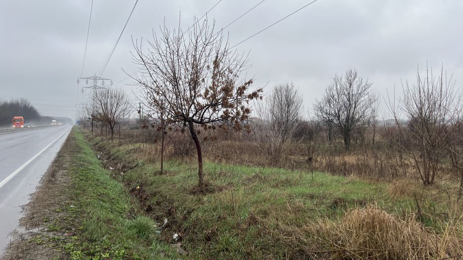 Teren la DN7 - ideal investitie (Benzinarie, spalatorie, hala) - Poză 3