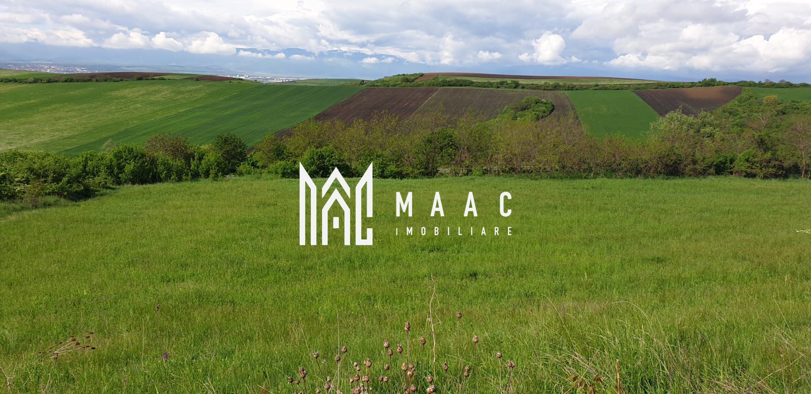 Teren | S+P+E | S+P+M | Intravilan | 9826 MP | Sura Mare - Poză 1