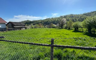 TEREN INTRAVILAN 2592 MP,  ALBESTI DE MUSCEL, ARGES - Poză 2