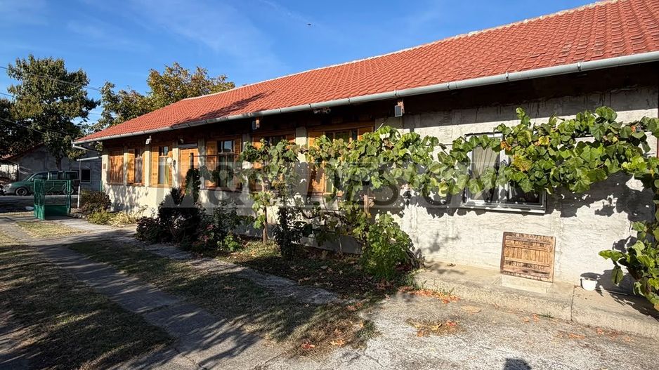 Casa nemteasca 4 camere Uivar - Poză 15