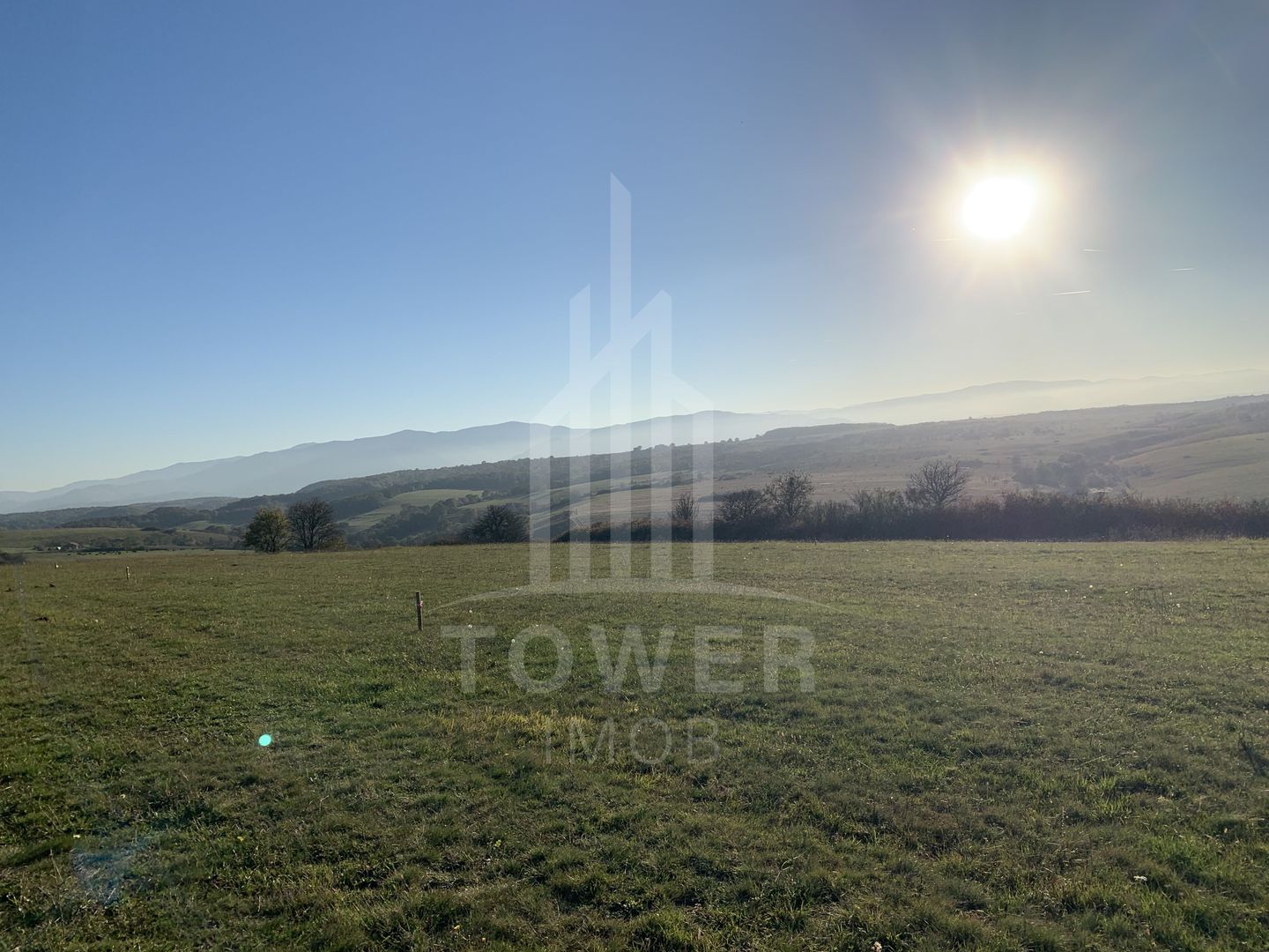 Teren pentru constructie cabana in Dealul Daii-parcele de 650 mp - Poză 3