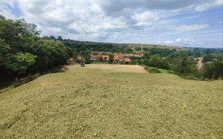 Teren intravilan | 3860 mp în Sărata | ideal pensiune sau resort - Poză 2