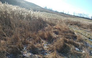 Teren intravilan 6900 mp-ideal investitie/case-Zona Zavoaie EXCLUSIV - Poză 3