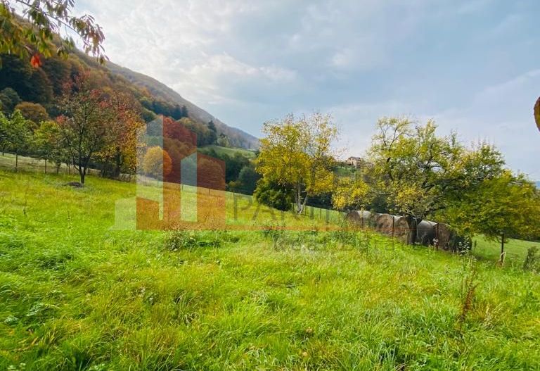 Casa + teren 1700 mp langa Padure Bran/ Predelut - Poză 5
