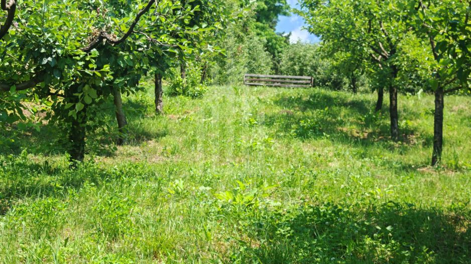 Casă săsească autentică în Bruiu (Sibiu) - Poză 17