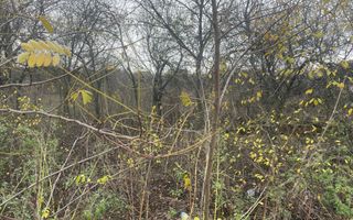 Teren in suprafata de 2165 mp cu front de 30 ml - Poză 5