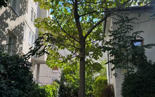 Casa individuala de vanzare aproape de centru - Poză 3