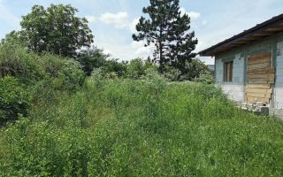Casa de vânzare, sat Horlești, comuna Rediu - Poză 2