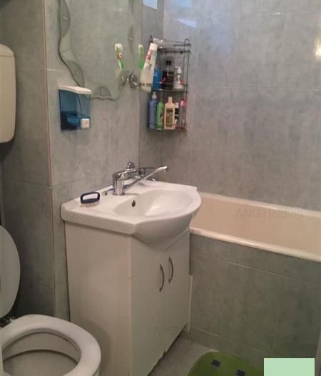 Apartament 3 camere Pantelimon | Parcul Florilor - Poză 9