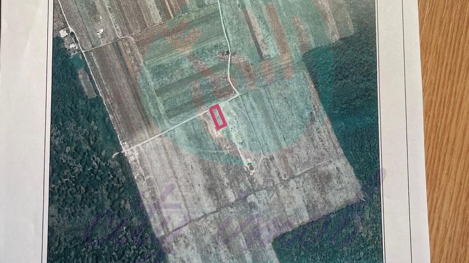 Vanzare teren constructie casa CIOFLICENI - SNAGOV - Poză 3