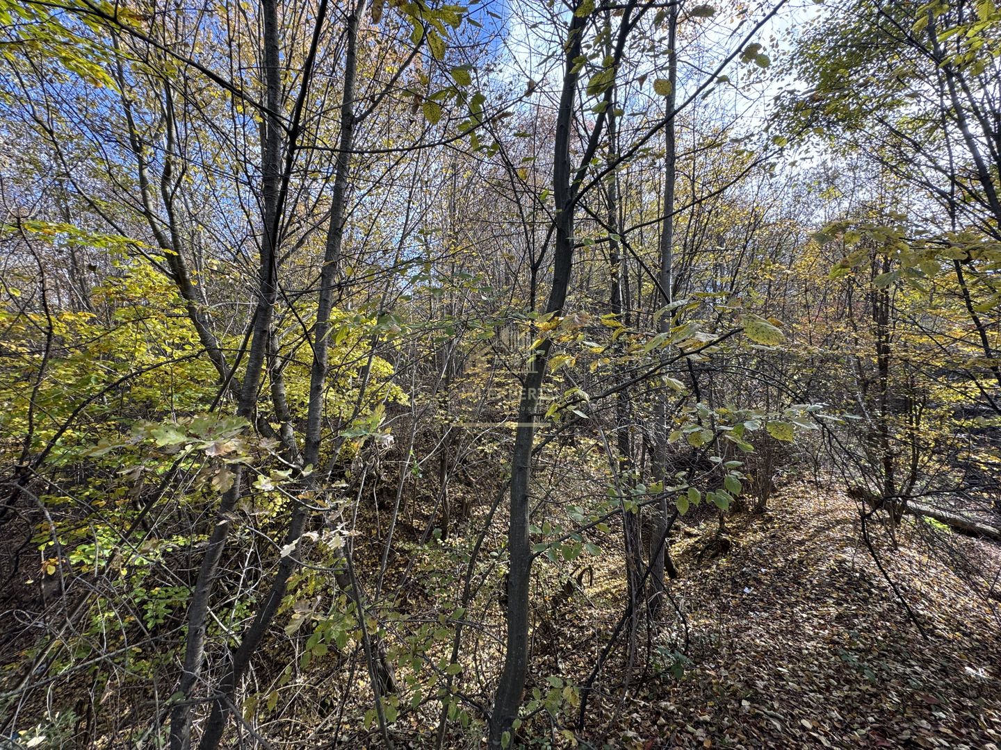 TEREN INTRAVILAN 13167 MP BUGHEA DE SUS ARGES - Poză 29