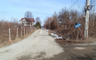 Teren 25.500 mp Valea Avrigului - Poză 2