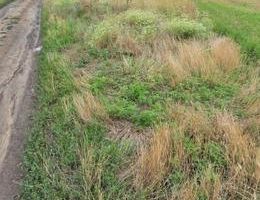 Teren intravilan de vânzare în Holboca – Preț negociabil - Poză 1