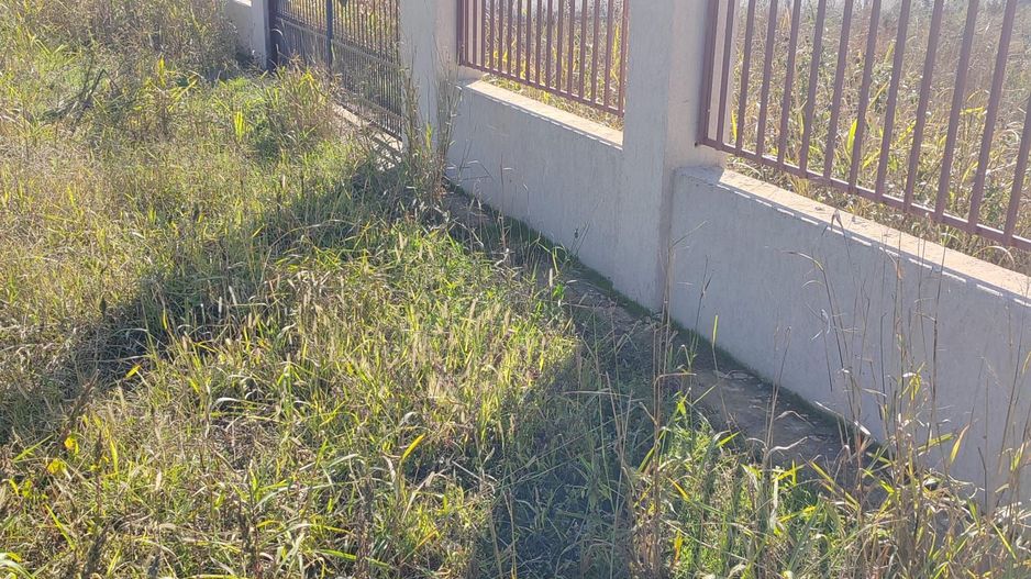 Gagu Dascalu teren ideal pentru investitie zona in dezvoltare - Poză 2