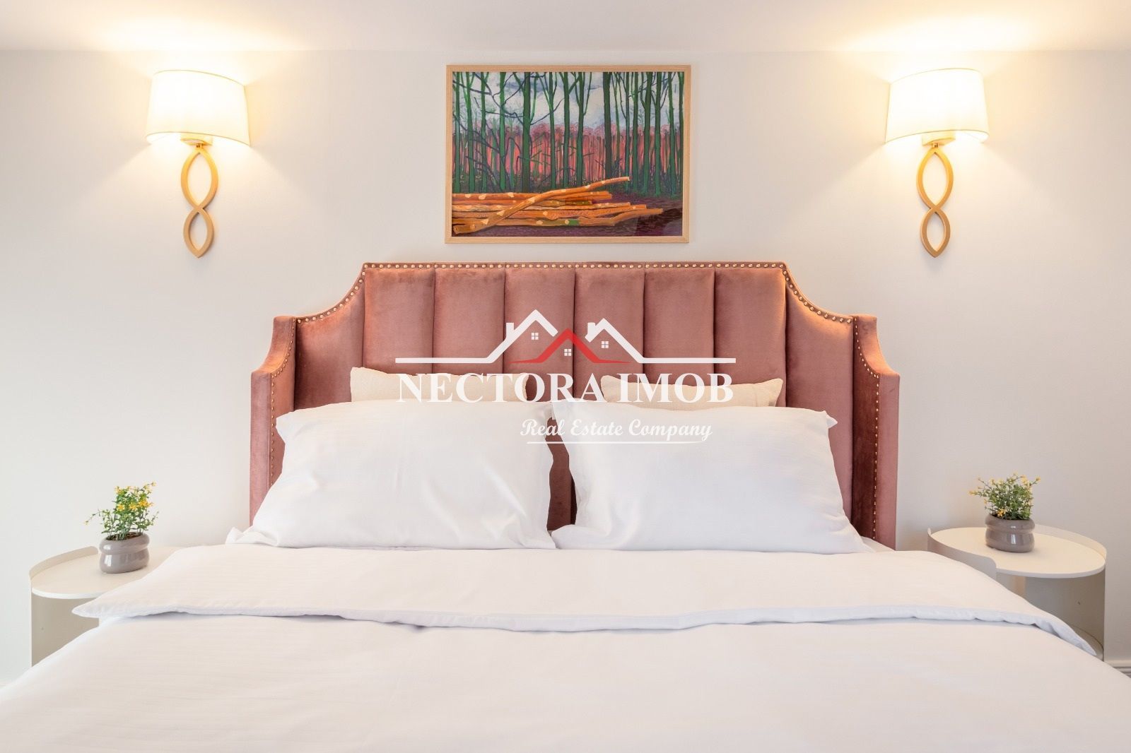 NECTORA IMOB-Casa Ultracentrala Teatru/Piata Unirii, Mobilata/Utilata - Poză 13