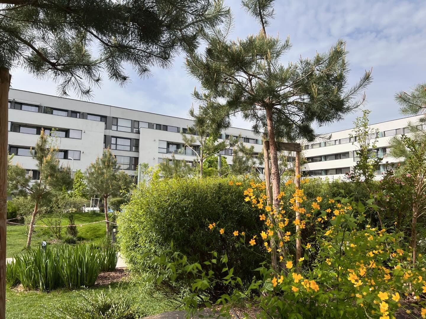 APARTAMENT 2 CAMERE | PROIECT NOU | PISCINA IN COMPLEX - Poză 5