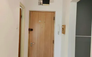 Apartament 2 camere zona Theodor Pallady - Piata Salajan - Poză 17
