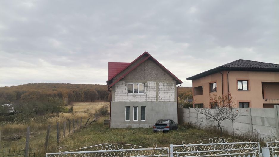 Vanzare vila Hintesti, stradal - Poză 12