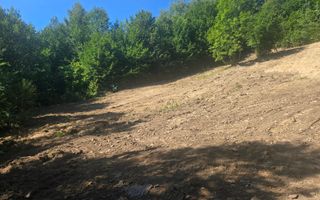 Teren Valea Doftanei,  zona Pe Vale - Baraj Paltinu - Poză 3