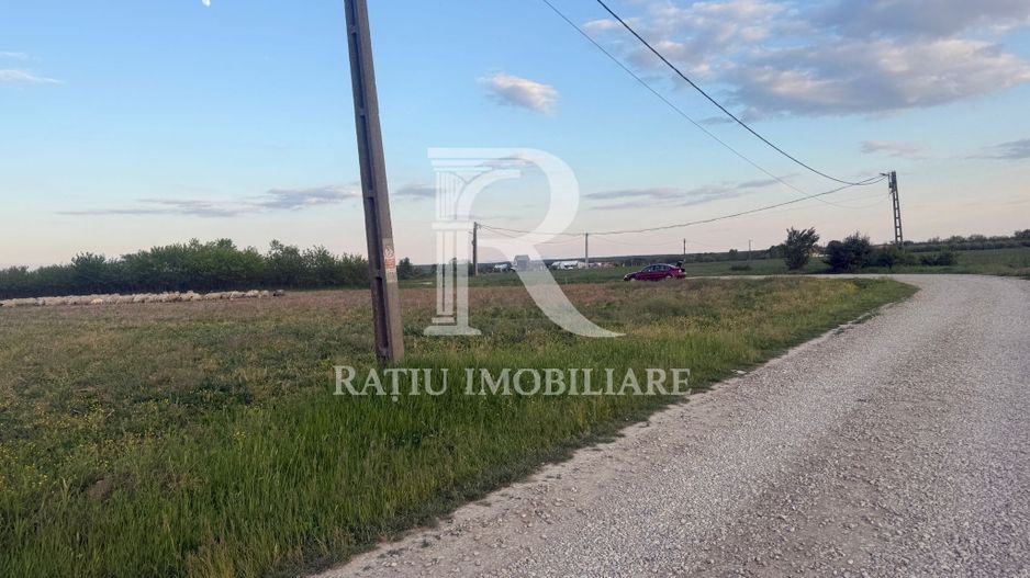 Teren extravilan | Păușa | Bihor - Poză 8