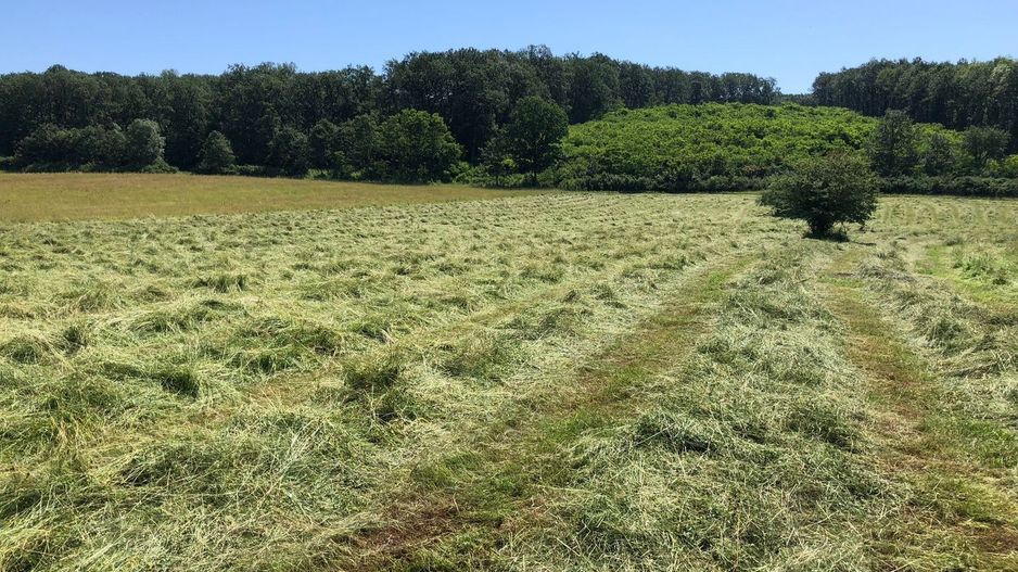 Teren arabil de 630 hectare în Galați - Poză 2