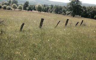 Teren Intravilan 720 mp. Bistra Muresului - Poză 2