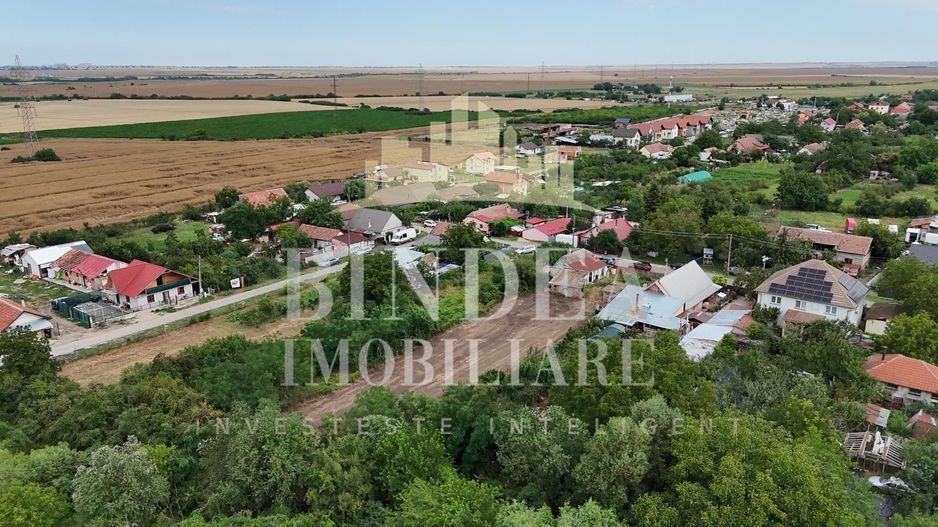 Teren intravilan Cerneteaz 50euro/mp - Poză 3