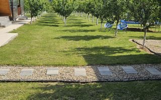 Complex din casa noua si 3 cabane, piscina încalzita 6600 mp teren - Poză 9