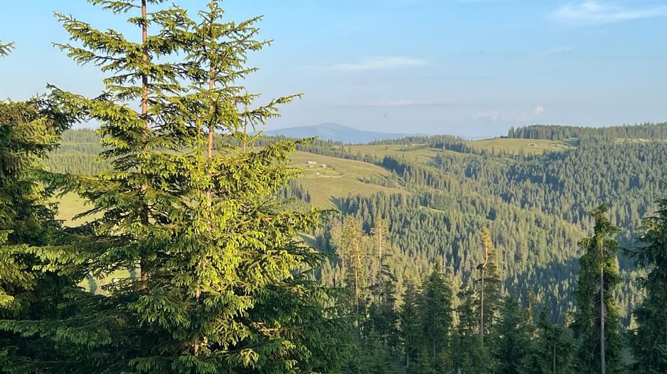 50 hectare teren | Moldova-Sulita | Potential turistic si agricol - Poză 7