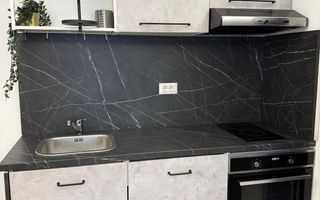 Apartament 2 camere de inchiriat  | Cortina North - Poză 3