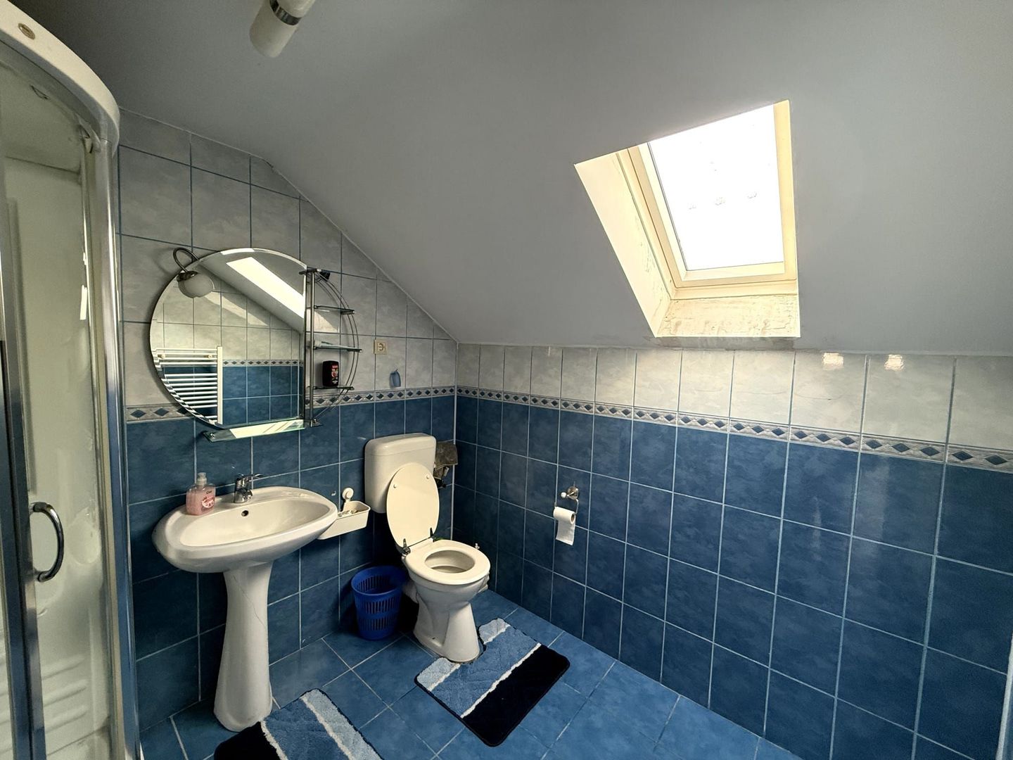 Proprietate impresionanta de vanzare cu mult teren in Santandrei - Poză 22