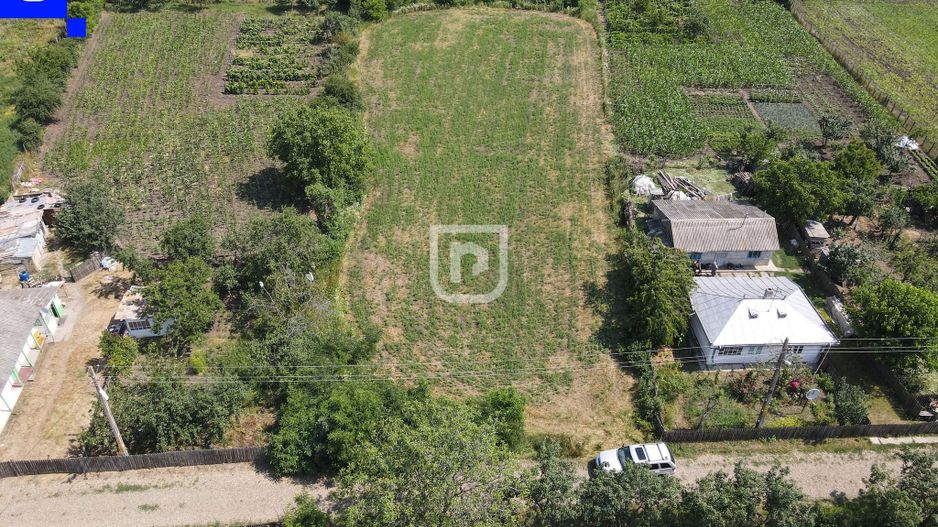 Teren - Ionășeni | BOTOȘANI | 3.285mp - Poză 8