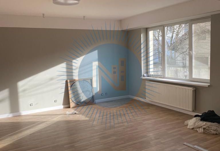 Vila Iancu Nicolae - Poză 14