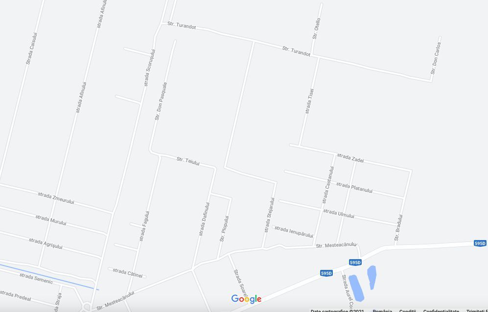 TEREN MOSNITA VECHE-pt investiție - Poză 2