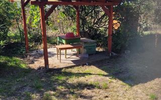 BRASADAS vinde casa in Moftinul Mare. - Poză 6