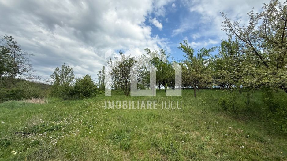 Teren intravilan construibil – 2.100 mp | Căianu - Poză 6